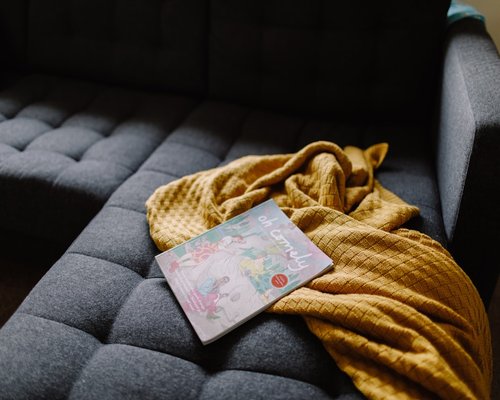 Cozy evening resting on a sofa with a book